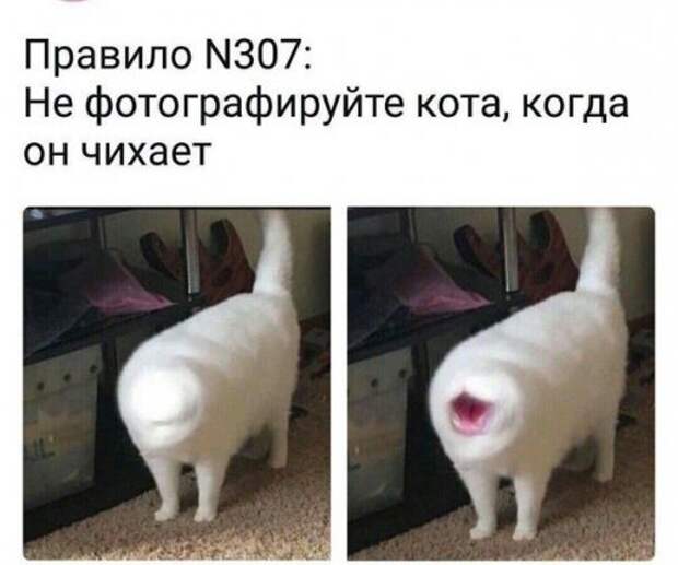Прикольные фотомемы (26 шт)