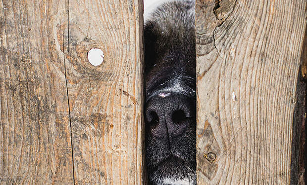 Источник фото: Unsplash