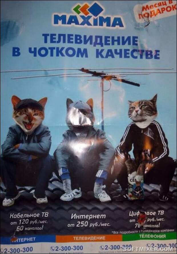 a561d71ceeb6499f719dc5a18ff_prev