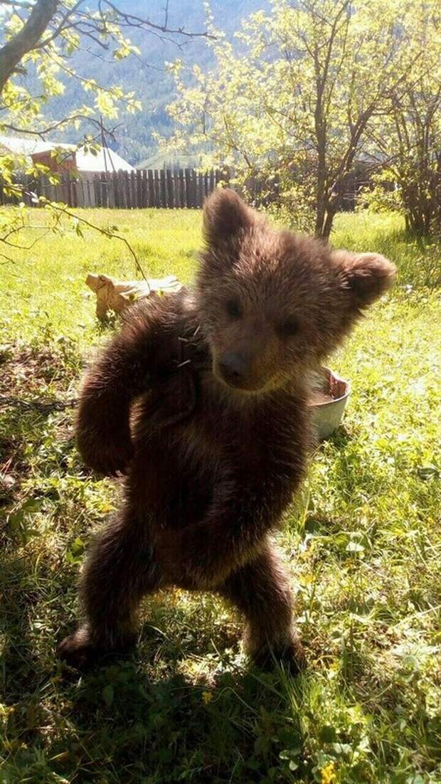 С добрым утром!