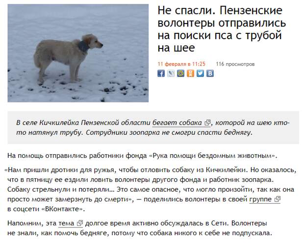 К сожалению, последние новости не очень обнадеживающие. Но неравнодушные люди верят, что финал этой истории будет положительным и волонтеры вернут собаку её хозяевам! К сожалению, последние новости не очень обнадеживающие. Но неравнодушные люди верят, что финал этой истории будет положительным и волонтеры вернут собаку её хозяевам! жестокость, зоозащитники, история, пенза, пензенская область, пес, собака