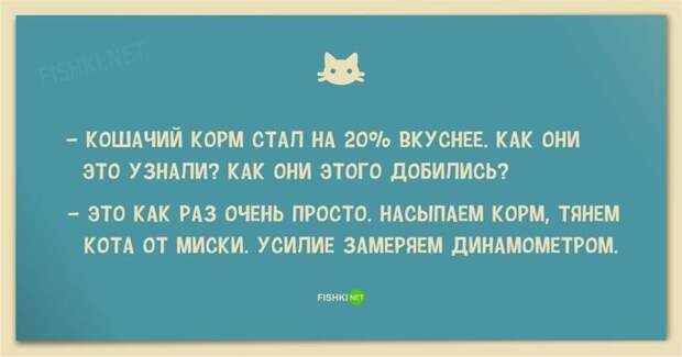 25 смешных анекдотов про кошек и котов анекдот, животные, юмор