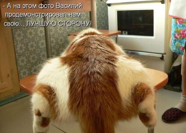 Мысли вслух :)