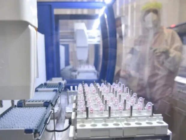 В России выявлен новый штамм коронавируса: названы симптомы