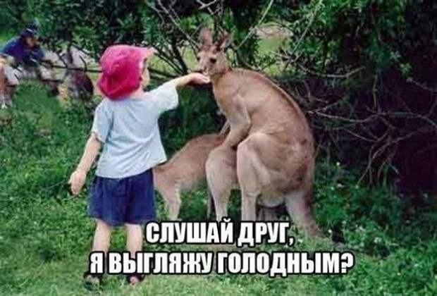 Так себе картинки