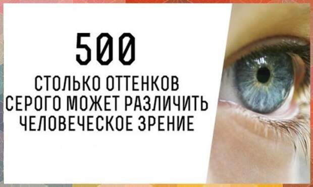 Человеческий глаз может различить 500 оттенков серого