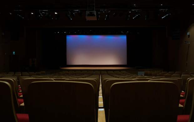 Авито Услуги: жители СЗФО стали больше интересоваться домашними кинотеатрами в зимние каникулы