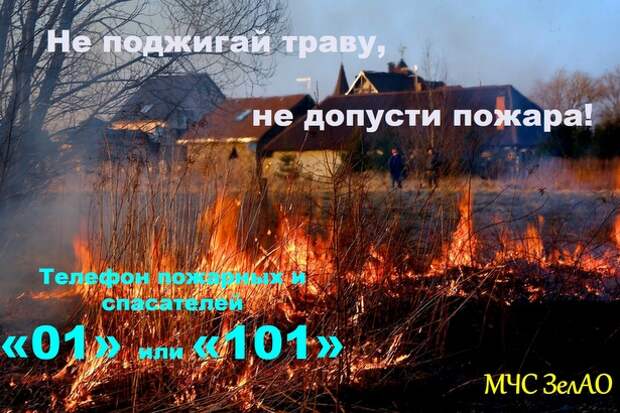 Природные пожары: причины возникновения, профилактика, тушение Природные пожары: причины возникновения, профилактика, тушение