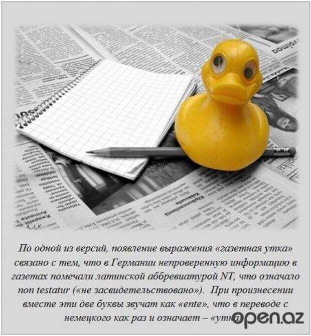 В картинках интересные факты.