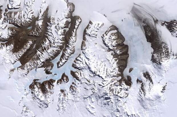 30 коротких удивительных фактов об Антарктиде антарктида, факты, фото