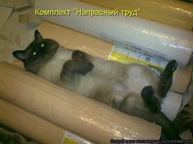 Лучшие котоматрицы недели (50 фото) Лучшие котоматрицы недели (50 фото)