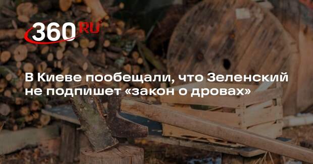 Литвин: Зеленский не подпишет закон о наказании за хранение дров без документов