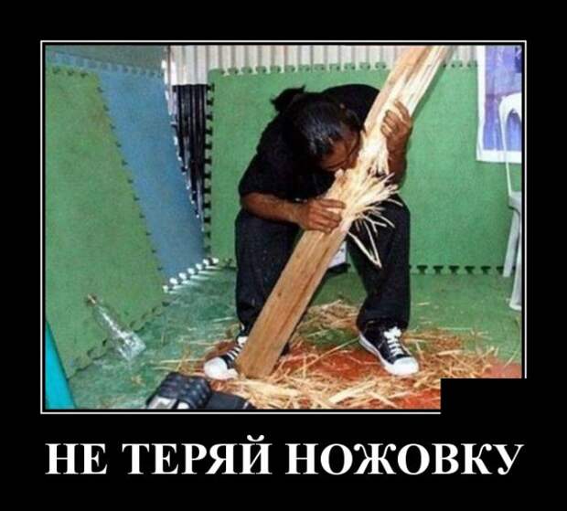 Демотиваторы (30 фото)