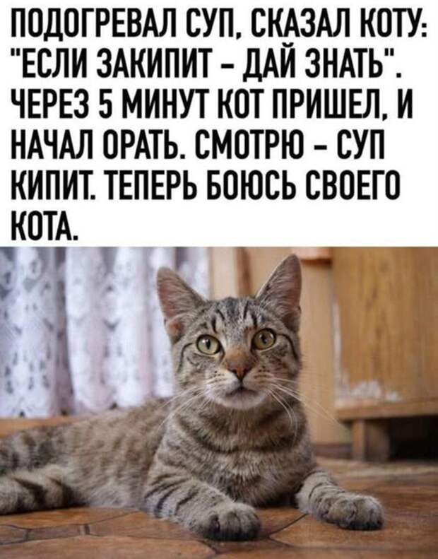 Понедельник? Не беда! Заряжаемся позитивом с новыми мемами и картинками!