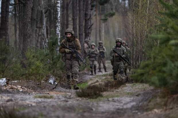 Bloomberg: ВСУ испытывают острую нехватку молодых солдат