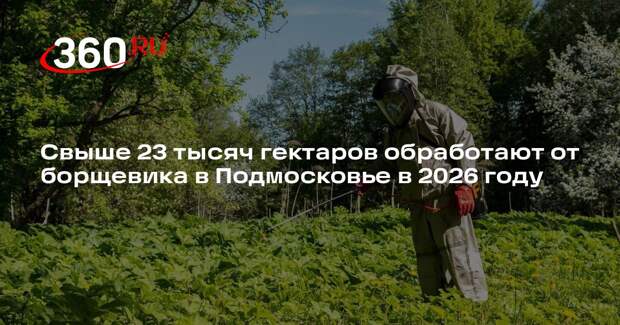 Свыше 23 тысяч гектаров обработают от борщевика в Подмосковье в 2026 году