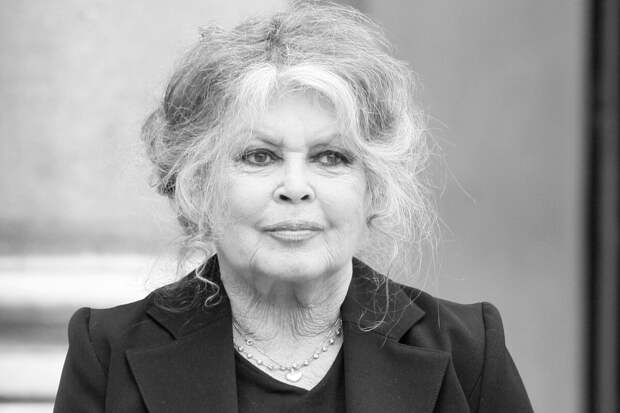 The DailyMail: актриса Брижит Бардо обещала сыну не упоминать его в интервью