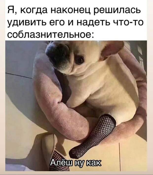 Рано утром на берегу речки мужик ловит рыбу. Тут подходит другой мужик...
