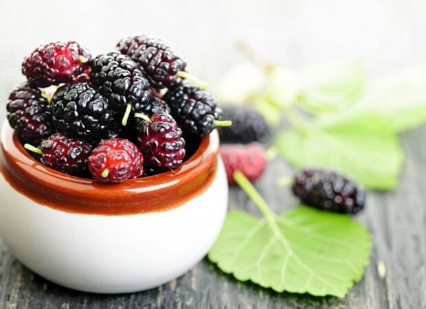 Сезон шелковицы: вкусные рецепты домашней кухни
