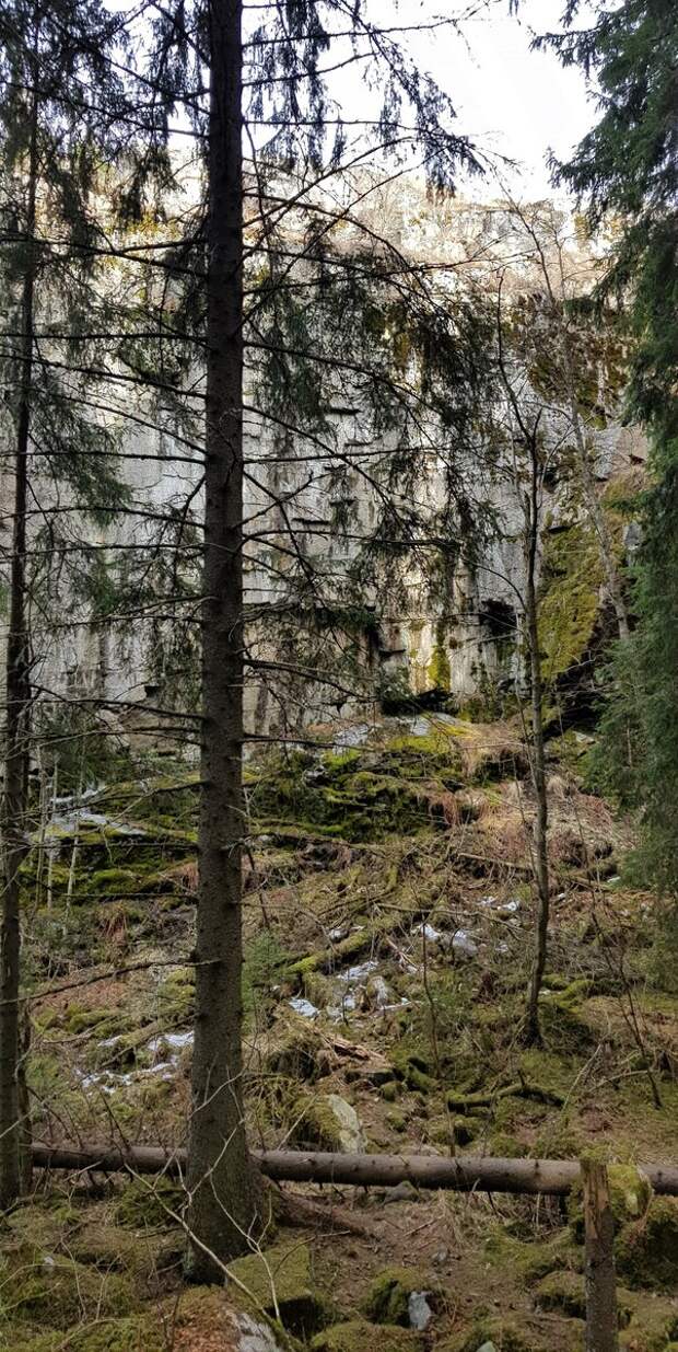 Скала Паасо в лесу