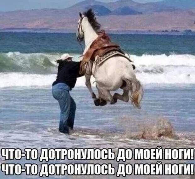 Смешные фотомемы (19 шт)