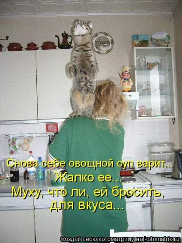 Веселая котоматрица за неделю (28 шт)