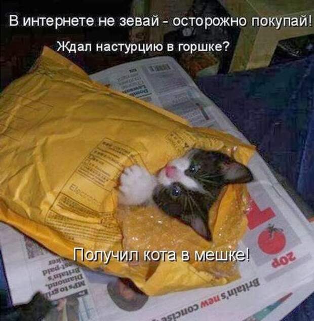 553584f087a2c631cb7eaff5f9e