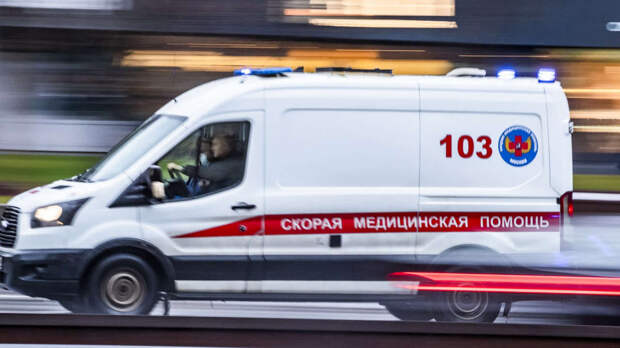 Упавшее дерево отправило 11-летнюю школьницу в больницу на юго-востоке Москвы