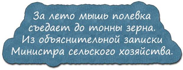 Доктор:– Я вам должен сказать, что у вашей жены рожа...