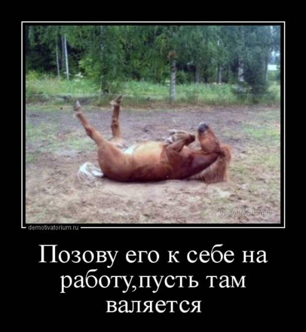 Демотиваторы дня