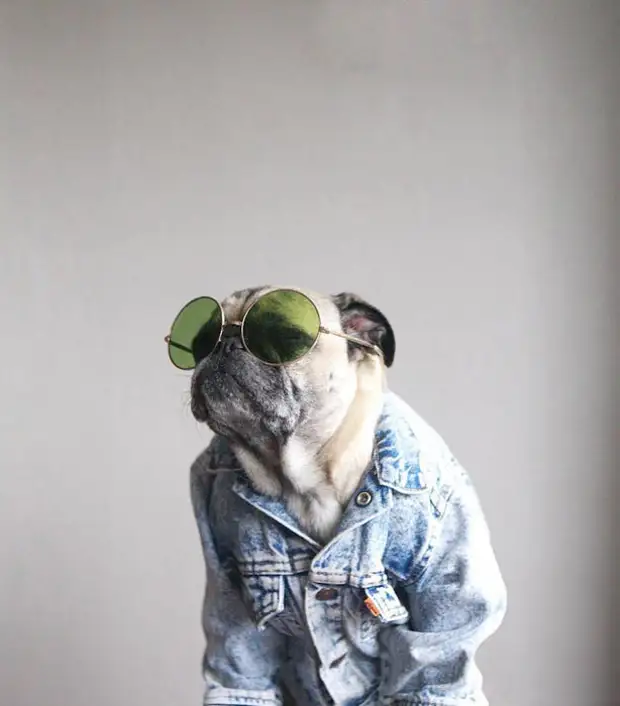 Мачо-мен. Фото: Jeremy Veach. Мачо-мен. Фото: Jeremy Veach.