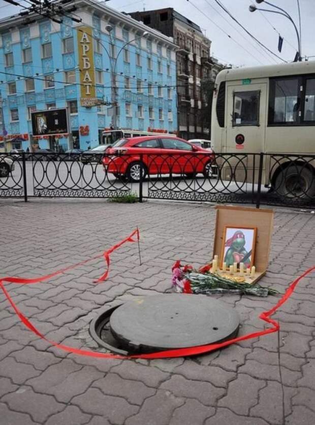 Картинки, юмор, приколы