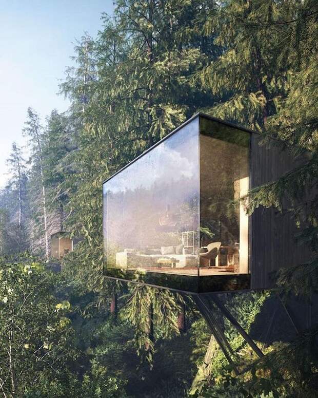 Эксклюзивный лесной гостиничный комплекс в центре Баварского леса, Шварцвальд.