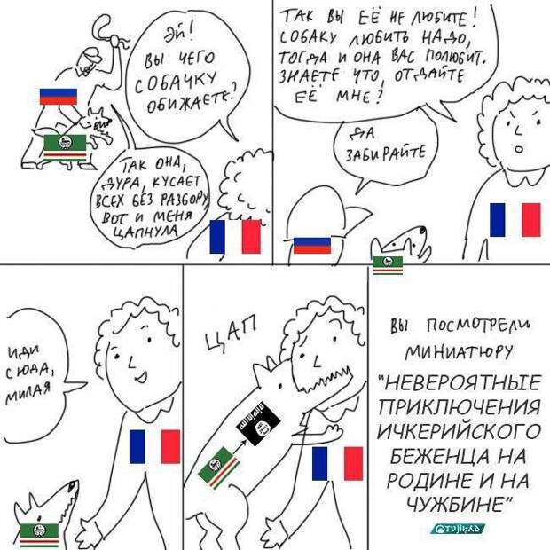 Жертвы карикатурной политики