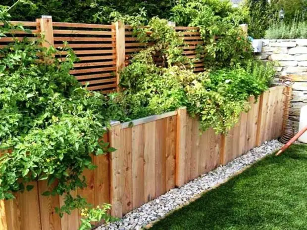 Такой забор однозначно понравится тем, кто любит зелёные насаждения, но при этом территория двора не позволяет развернуться. Такой забор однозначно понравится тем, кто любит зелёные насаждения, но при этом территория двора не позволяет развернуться.