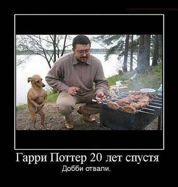 Демотиваторы (30 фото)