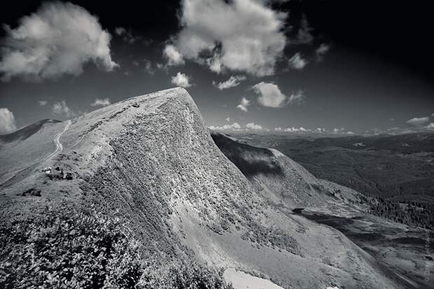 infrared05 infrared05 Инфракрасная фотография от Олега Григорьева