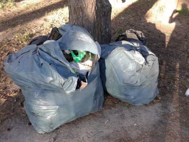 Пакеты легко рвутся. /Фото: open-penza.ru.