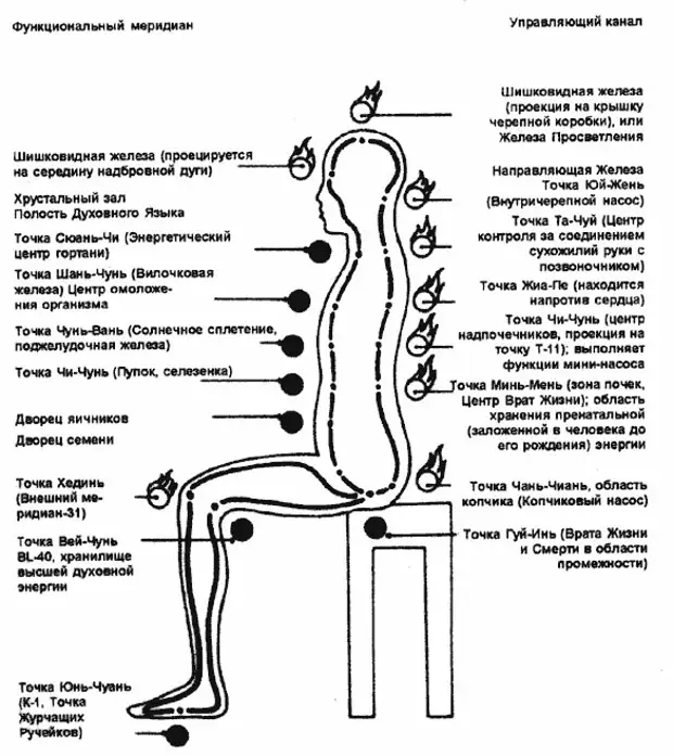 Основные меридианы человека схема и направления