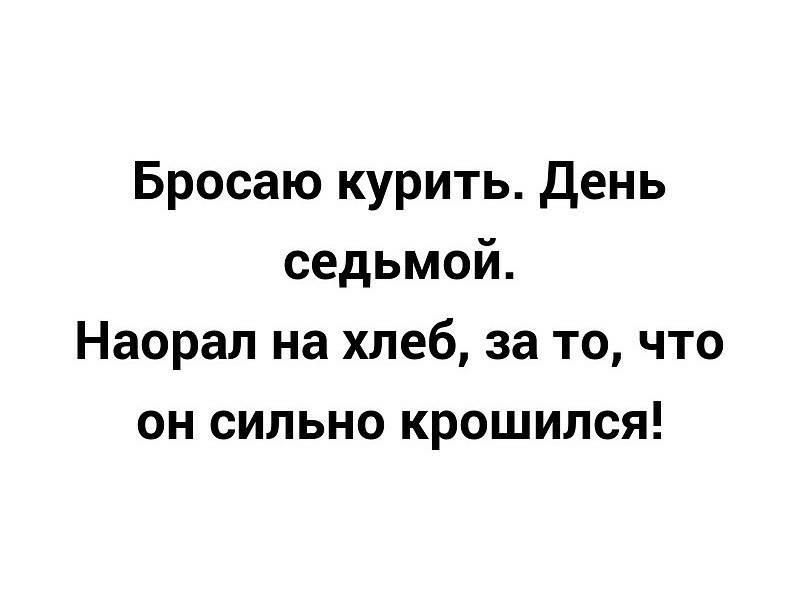 Если вы что-то потеряли и никак не можете найти, посмотрите под котом! когда, туфли, говорит, еврей, человек, аргумент, беспроигрышный, бебебе, пожалуйста, Еврей, девочек, священник, можно, встать, конечно, Александр, семейной, счастливой, подумал…Милые, Андрюша