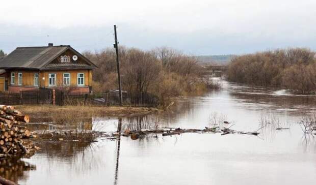 Талые воды начали затапливать дома жителей Оренбургской области