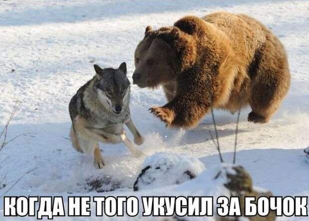 Подборка смешных фотографий и картинок с надписями (10 фото) Подборка смешных фотографий и картинок с надписями (10 фото)