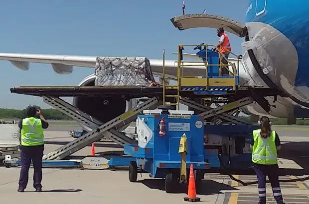 «Игнорирует интересы большинства населения»: почему Киев отказывается регистрировать российскую вакцину