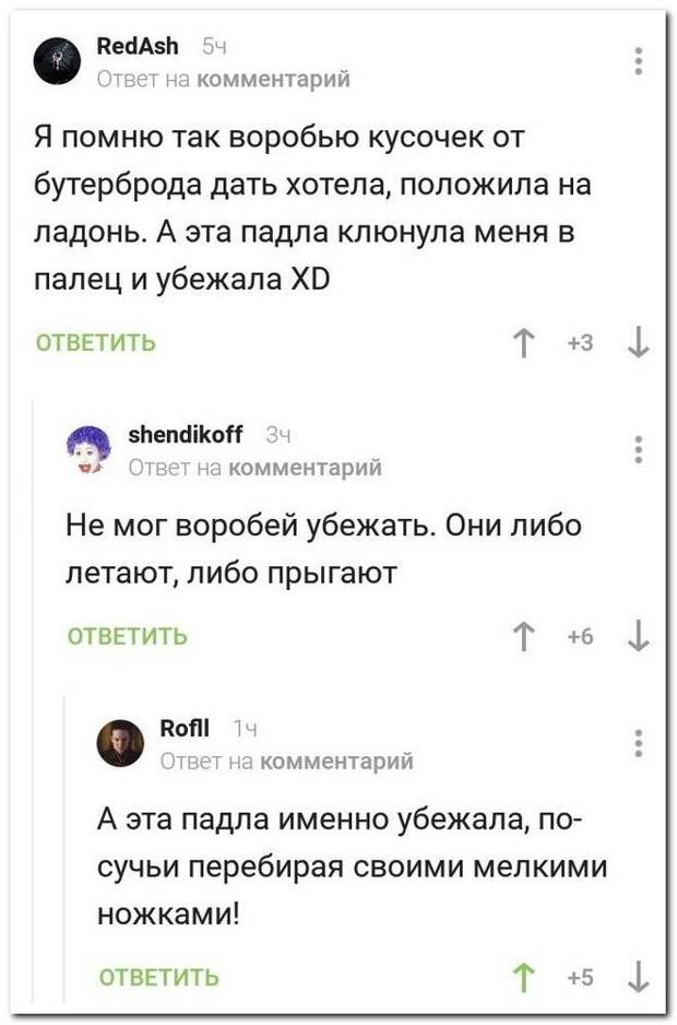 setey-socialnyh-kommentarii-citaty-vkontakte-vkontakte-smeshnye-statusy