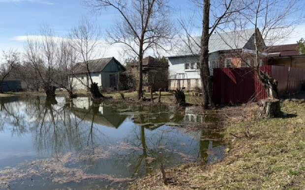 Ока 6 апреля подтопила 18 участков в Борках и Полянах