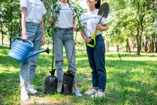 саженцы в пакетах