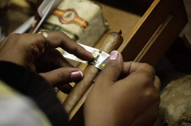 Cohiba13 Как делают лучшие кубинские сигары