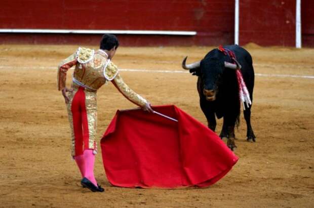 Красная тряпка для быка - вообще не красная. /Фото: cont.ws