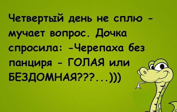 125443890_3416556_image_2 (544x347, 139Kb)