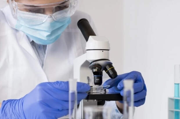 В Испании нашли способ восстановления памяти при болезни Альцгеймера